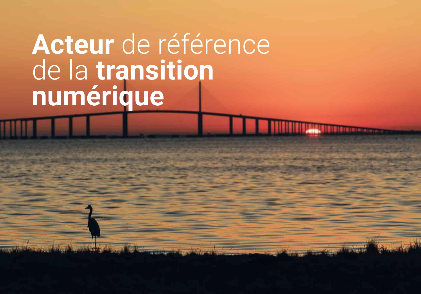 derniers-projets-logomotion-agence-web-dijon
