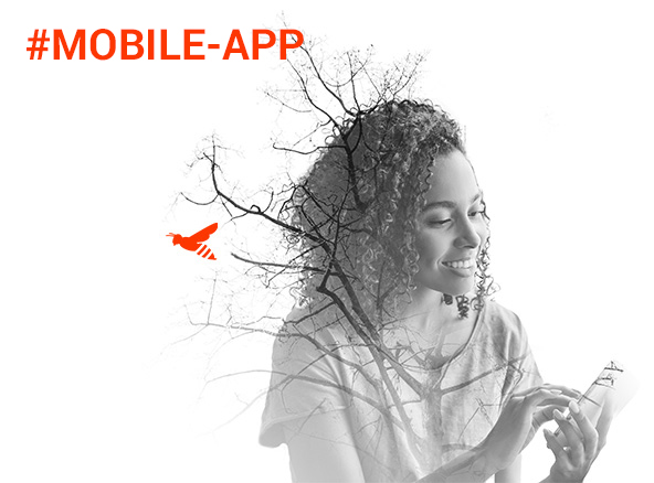 creation-dapplication-mobile-sur-mesure-Agence-Dijon-Logomotion