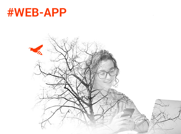 creation-dapplication-web-sur-mesure-Agence-Dijon-Logomotion