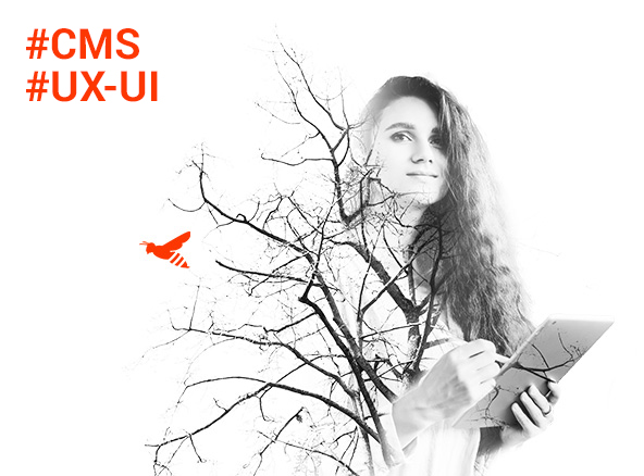 creation-site-internet-Agence-Web-Dijon-Logomotion