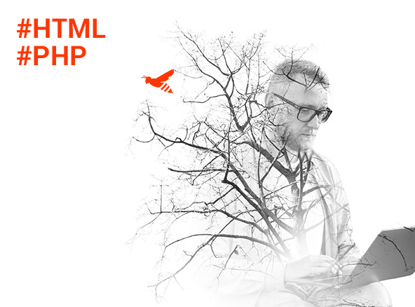 langages-applications-Agence-Web-Dijon-Logomotion
