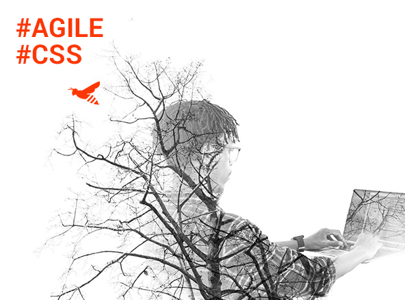 promesse-technique-Agence-Web-Dijon-Logomotion