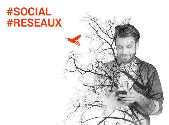 web-marketing-seo-Agence-Web-Dijon-Logomotion