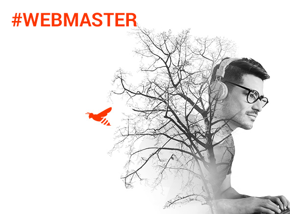 webmaster-maintenance-Agence-Web-Dijon-Logomotion