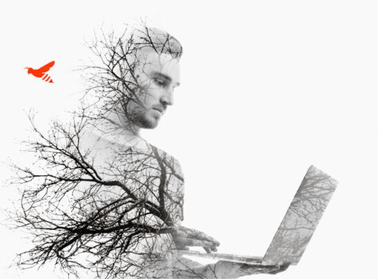 illustration-logomotion-agence-web-dijon-min