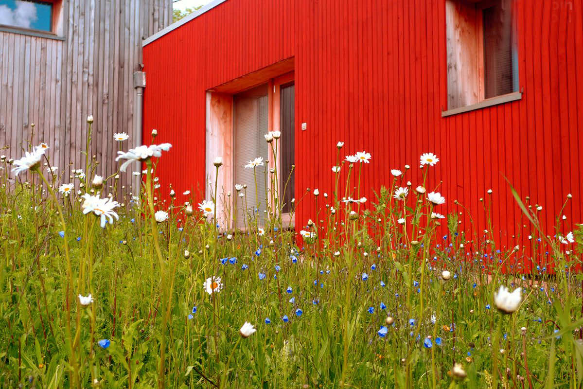batiment-1-logomotion-agence-web-dijon